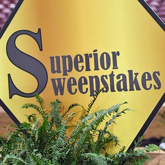 2023 Superior Sweepstakes & Sale
