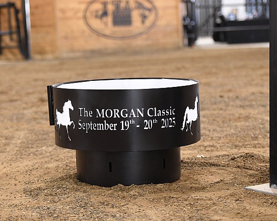 2025 Morgan Classic Sale