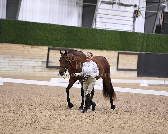 2026 Tri State Morgan Show