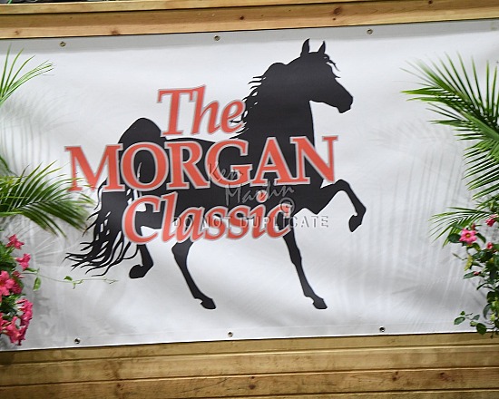 2026 Morgan Classic Sale